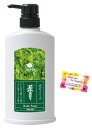 茶ボディソープ 爽やかなお茶の香り!4種の国産緑茶葉エキスを配合 茶の実オイル 500mL