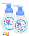 アクアバブルハンドソープ、250ml、せっけんの香り、泡タイプ