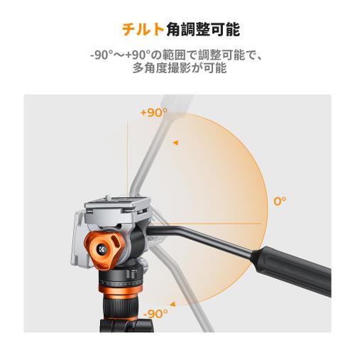 KF Concept �ե롼�ɱ��� ���ࡼ���ǰ��ꤷ�������ѥե롼�ɱ��� �ѥ�/�ƥ������ ���륫�������ߴ��ե롼�ɱ��� ����ٽ�6.61�ݥ��/5kg