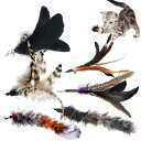 YINKE 猫 おもちゃ 6点セット 羽のおもちゃ 猫じゃらし 羽根 ねこ玩具 交換 し易い 運動不足とストレス解消(ブラック)