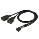JSER USB 10ピン 9ピン マザーボード メスヘッダー - デュアルUSB 2.0メスアダプターケーブル 50cm(2)