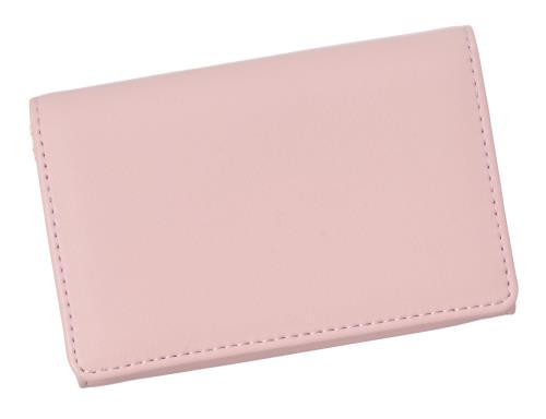 [レイメイ藤井] 文具収納 名刺入れ ノフェス NSN1215 ブリーズピンク