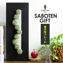 【88円OFFクーポン配布中】サボテン 多肉植物 置物 オシャレなインテリア サボテン 寄せ植え サボテンギフト 長方形フレーム ※サボテン 多肉植物 ミニサイ...