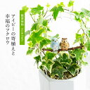 観葉植物 インテリアグリーン 観葉植物アイビーの寄植えと幸福のフクロウ オブジェ プレゼント 開店祝い 引越し 誕生日 昇進 退職 上司 夫婦 記念日