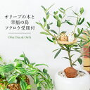 オリーブ 観葉植物 インテリアグリーン オリーブの木と幸福の鳥フクロウ 受皿付 オブジェ プレゼント フクロウ ふくろう フィギア オリーブ 育てやすい 初心者 縁起が良い 開店祝い 引越し 誕生日 昇進 退職 上司 夫婦 記念日