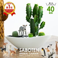 サボテン 寄せ植え ギフト 楽天1位 オシャレ 観葉植物 多肉植物 寄せ植え カクタス...