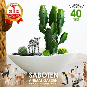 サボテン 寄せ植え ギフト 楽天1位 オシャレ 観葉植物 多肉植物 寄せ植え カクタス 大雲閣 アニマルサボテン 舟形タイプ 40種類 選べる シュライヒ 動物フィギュア付 陶器鉢 さぼてん プレゼント 誕生日 開店祝い 美容室 開店