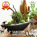 サボテン 寄せ植え 開店祝い 周年 祝い 美容室 サロン お店 お祝い サボテン 寄せ植え セレウス 電磁波サボテン 流木タイプ 陶器鉢 シュライヒ 動物フィギ...
