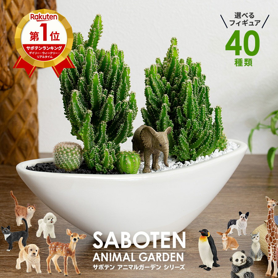 父の日 サボテン 寄せ植え ギフト インテリア グリーン 楽天1位 オシャレ カクタス セレウス 多肉植物 寄せ植え 電磁波サボテン 舟形大タイプ 陶器鉢 選べる シュライヒ 動物フィギュア付 玉サボテン 多肉植物 育て方 説明書 プレゼント 開店 引越し 誕生日 父 上司 記念日