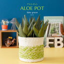 【88円OFFクーポン配布中】フェイクグリーン 人工観葉植物 卓上 ミニ 小さい おしゃれ 光触媒 鉢 鉢カバー かわいい 造花 インテリア テーブル 消臭 抗...
