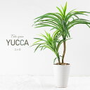 【88円OFFクーポン配布中】フェイクグリーン 人工観葉植物 卓上 ミニ 小さい おしゃれ 光触媒 陶器 鉢 かわいい 造花 インテリア テーブル 消臭 抗菌 ...