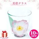 【クーポン対象&ポイント10倍】グラス 芙蓉 ハイビスカス 酒器 ロックグラス ロックカップ 手描き 蒔絵 日本製 おしゃれ 和モダン レディース ギフト プレ...