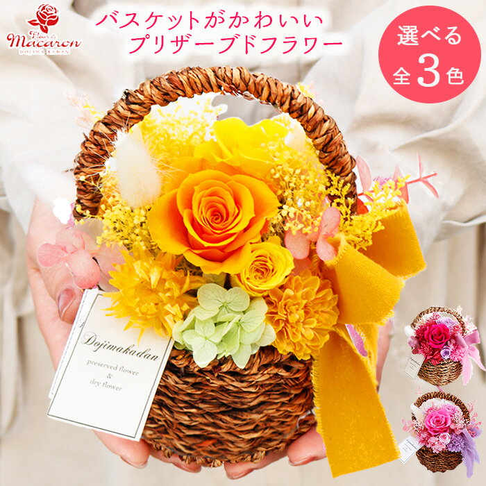 プリザーブドフラワー ギフト かご《小春バスケ》お見舞い 病院 施設 クリスマス 枯れない花 プレゼント 花 アレンジ フラワーバスケット カゴ 花かご 花カゴ プレゼント花 お花 お祝い 誕生日お祝い 誕生日花プレゼント 贈り物 記念日 送別 退職 還暦 米寿 妻 ブリザード