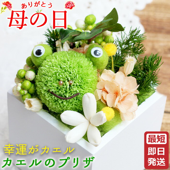 Rakuten - ブリザーブドフラワー 母の日 ギフト カエル かえる 《 雨あがり 》アニマル 花 フラワー 枯れない花 プレゼント アレンジメント 5000円以下 プリザーブドフラワー 可愛い カエル好き カエルグッズ 誕生日プレゼント 花ギフト 花 還暦 お祝い 出産祝い お見舞い ブリザード
