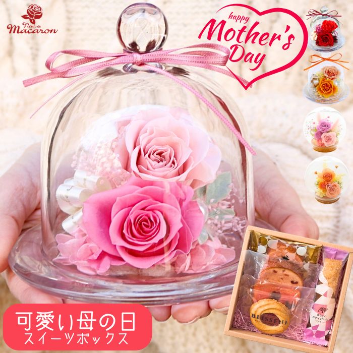 母の日 ブリザード プリザーブドフラワー ガラスドーム スイーツセット 《 ドーム スイーツ 》 お菓子 スイーツ セット ギフト プレゼント ブリザードフラワ- 花 お花 花とスイーツ 5000円 可愛い かわいい おしゃれ バラ 母の日ギフト 義母 祖母 枯れない花 送料無料