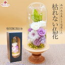 プリザーブドフラワー ドーム ガラスドーム 《光の庭》 仏花 お供え お供え花 お悔み 一周忌 三回忌 四十九日 喪中 仏壇用 お盆 ペット 贈り物 ギフト 枯れない 花 おしゃれ ブリザードフラワー ブリザーブドフラワー ブリザードフラワ- 初盆 帰省 仏壇花 母の日 大きい