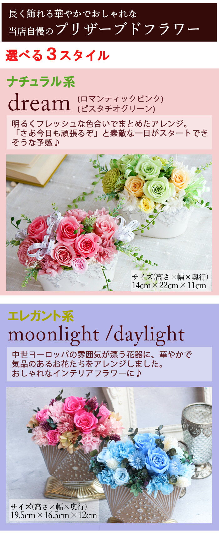 《dream nifty moonday》 プ...の紹介画像2