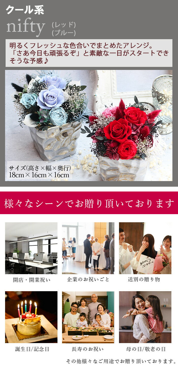 《dream nifty moonday》 プ...の紹介画像3