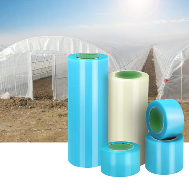 �ӥˡ���ϥ������佤�� �ϥ������С� �佤 �����ѡ����åȥơ��� �����佤�ơ��� ���Ȼ�� ���쥤�ơ��� �ϥ������� �������䶯�ơ��� �ץ饹���å��ݥꥨ�����ե���� ������ �ӥˡ���ϥ��� �Ȥ�Ω�� �ѥå��佤�ơ��� ��ݿ�ʪ��