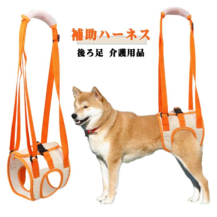 ���­ ������� ���Ѳ��ϡ��ͥ� ���Ѳ��ϡ��ͥ� ���� ������ ������ԥ��ݡ��� ���᥵�ݡ��� �� ������ ��ԥ��ݡ��� Ϸ���� �ϡ��ͥ� ���­���ݡ���...