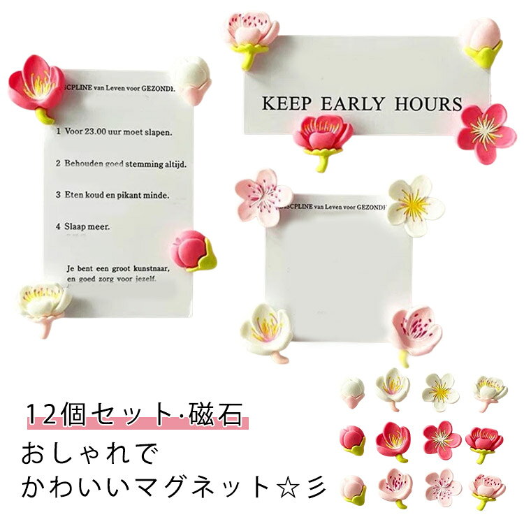 おしゃれでかわいいマグネット☆彡冷蔵庫に貼ったりして楽しめる♪大事な書類の掲示にぴったり！朝ごはんを集めたようなおいしそうなマグネット！冷蔵庫やオフィスなどを可愛くしよう♪ サイズ F サイズについての説明 2.5cm 素材 樹脂 色 ミックス色(12個セット) ホワイト(12個セット) ピンク(12個セット) レッド(12個セット) 備考 ●サイズ詳細等の測り方はスタッフ間で統一、徹底はしておりますが、実寸は商品によって若干の誤差(1cm～3cm )がある場合がございますので、予めご了承ください。 ●製造ロットにより、細部形状の違いや、同色でも色味に多少の誤差が生じます。 ●パッケージは改良のため予告なく仕様を変更する場合があります。 ▼商品の色は、撮影時の光や、お客様のモニターの色具合などにより、実際の商品と異なる場合がございます。あらかじめ、ご了承ください。 ▼生地の特性上、やや匂いが強く感じられるものもございます。数日のご使用や陰干しなどで気になる匂いはほとんど感じられなくなります。 ▼同じ商品でも生産時期により形やサイズ、カラーに多少の誤差が生じる場合もございます。 ▼他店舗でも在庫を共有して販売をしている為、受注後欠品となる場合もございます。予め、ご了承お願い申し上げます。 ▼出荷前に全て検品を行っておりますが、万が一商品に不具合があった場合は、お問い合わせフォームまたはメールよりご連絡頂けます様お願い申し上げます。速やかに対応致しますのでご安心ください。