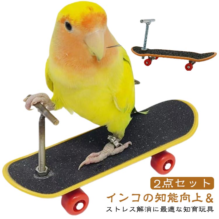 遊び 鳥玩具 スケートボード ペット スクーター おもちゃ トレーニング 道具 2点セット 鳥玩具 ペット..