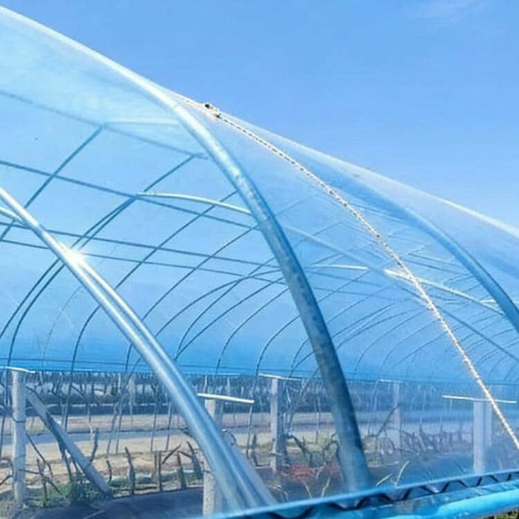 希望の長さ(m)を数量で入力 ビニールハウス 農業用フィルム 0.1mm 幅10m 農業用フ...
