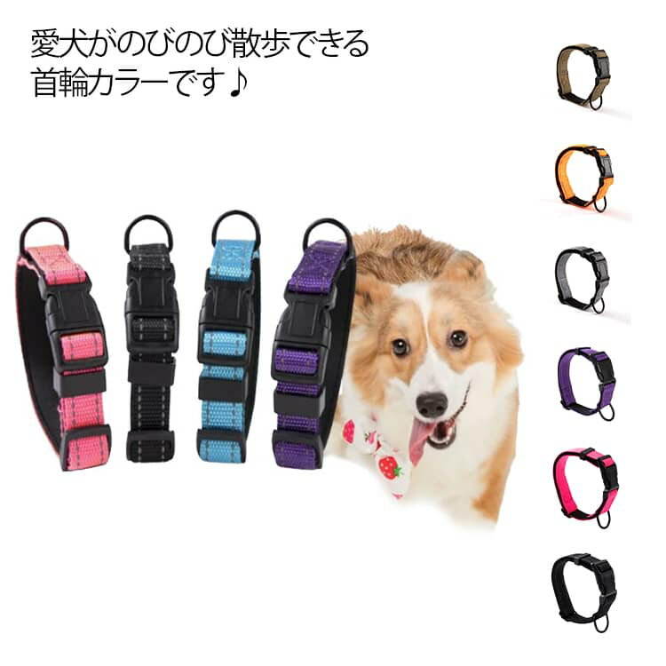 Collars, Harnesses, Leashes - お散歩 犬のリード ナイロン ペット 用品 シンプル グッズ 首輪 おしゃれ カラー 犬 犬 軽量 犬の首輪 大型犬 紐 カラフル 可愛い ペット用品 犬用品 小型犬 中型犬