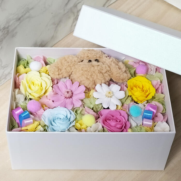 花 プリザーブドフラワー プードル ボックスフラワー フラワーギフト 花 結婚祝い 贈り物 プレゼント ..