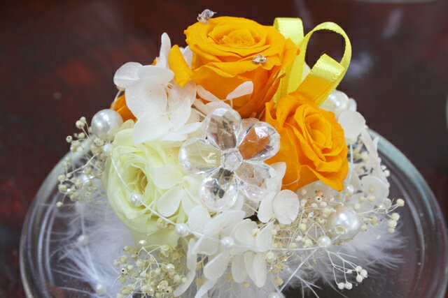 �ץꥶ���֥ɥե�������ե������ե��饹�ɡ��ࡡ���󥤥����� �������ץ쥼��� �࿦�ˤ� �ౡ�ˤ� �����ˤ� ������ե�����