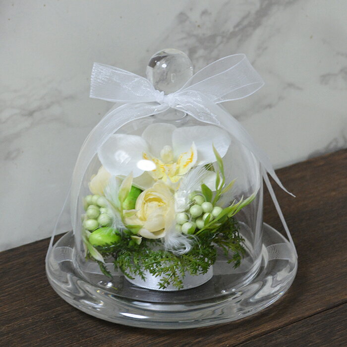 楽天市場】シャンデリア（カラーホワイト）（花・観葉植物｜花