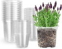 MIXC 30個6.5/5/4インチ透明育苗ポット、排水穴のある植物用の透明なプラスチック鉢、苗床ポット、シードスターターポット、プランターポット