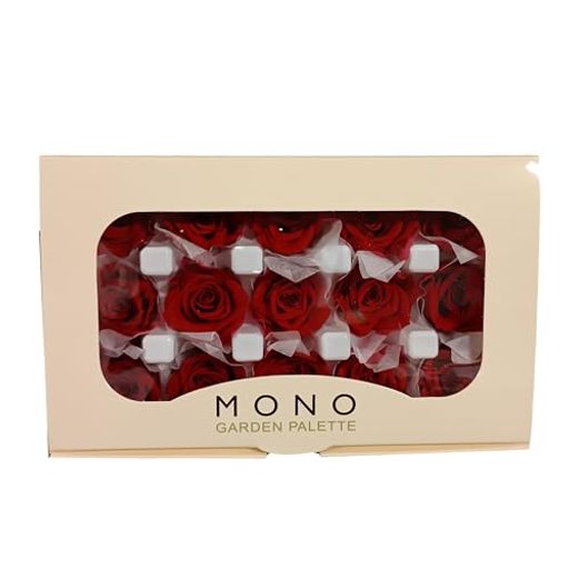 ガーデンパレットモノ プリザーブドフラワー 花材 バラ ミアデミ ローズ 15輪 レッド 花材 材料 薔薇 ハーバリウム 箱 ボックス ワークショップ GP927-01