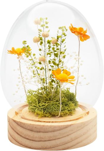 【ドームの中に広がる幻想的な光の世界】LEDライトで光る花を中心に、プリザやドライフラワーで装飾 【置くだけでお部屋が華やぐインテリアライト】φ10cmx高さ13.5cmのコンパクトなサイズ感で、リビング・寝室・玄関・デスクなどどこに置いても絵になるインテリアアイテムです8分音符 【届いたその日からお部屋が変わる】ドームの中にはマーガレットのフラワーアレンジが美しく施されており、届いたらそのまま置くだけで絵になる空間が完成します。花を活ける手間もなく、枯れる心配もないから、いつでも綺麗な花のある暮らしを楽しめます。 【単4電池式でコードレス・置き場所を選ばない】電源コード不要の電池式(単4x3本・別売り)なので、コンセントの位置を気にせずお好きな場所に自由に飾れます8分音符 【大切な方へのギフトにも最適】誕生日・記念日・母の日・ホワイトデー・クリスマスなど特別なシーンへの贈り物にもぴったりなアイテムです。