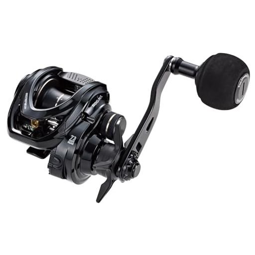 Boat Fishing - テイルウォーク(Tailwalk)両軸リールセイレンスBM(SEIRENSBM)オフショア船リール100HG-PH/L