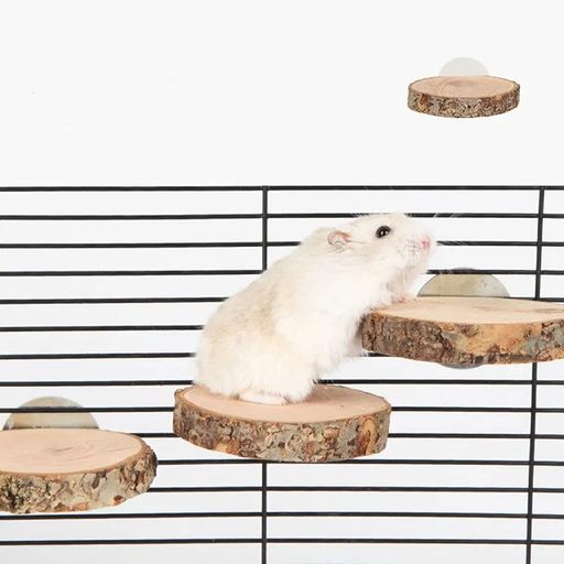 MUYYIKA木製コーナーステージステップ丸い形踏み台ハムスター小動物用ペットおもちゃ遊び場飼育ケージ内装天然木素材多機能オウム止まり木鳥スタンド金具付き取り付け簡単(直径4-5cm2個…