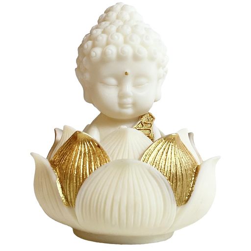UMORA 釈迦 お釈迦様 如来像 厄除け 座像 風水 仏像 ミニ お守り 開運 祈る ココヤシの果実 仏壇 玄関 置物 ボックス付(金色の輪郭・蓮台座付)のサムネイル