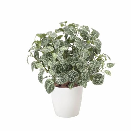 光の楽園フェイクグリーン造花フィットニアM(フロック加工)832P100