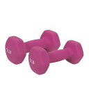 サニーヘルス&フィットネス(SUNNY HEALTH & FITNESS) ネオプレンダンベル 赤紫 2.3KG×2個 全身トレーニング パワートレーニング ウェイトロス NO.021-5-PAIR(4)