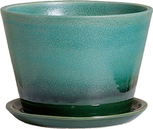 ץ饹ǥ ȭå եȥߥɥ 240MM ꤢ  ھ 550-13