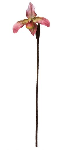 アスカ造花パフィオモーブグリーン全長:約43cm、花径:約12cmA-34579-055G