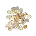 SSYSSY貝殻ボタン穴2つ8.5mm/10mm/11.5mm/12.5mm/15mm100個セット縫製手芸DIY用品(10mm)