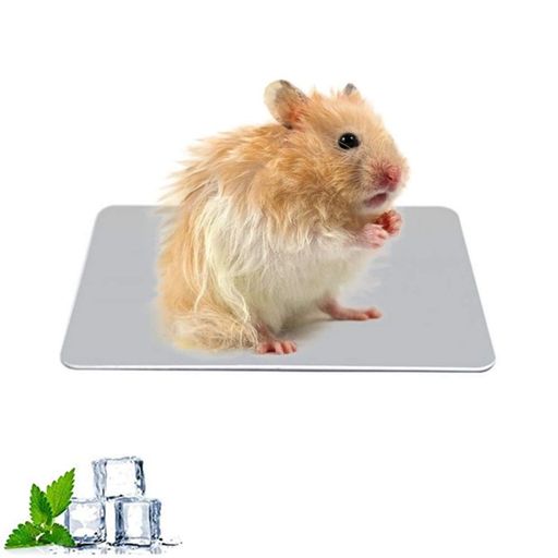 �ô��ϥॹ�����Ҥ���ץ졼�ȥ���ߥ�����ޥå�(120x80mm)��ưʪ�ѥڥåȲ�������Ѥ���ڥå��ѥ٥åɲ��٤򲼤���Ǯ��ɽ뤵�к��ֲ�����С�