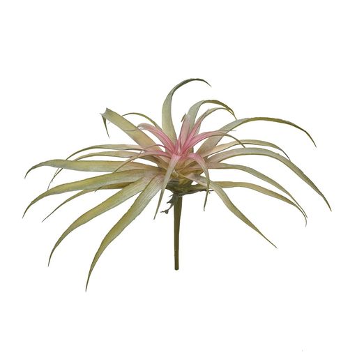 東京堂(Tokyodo)ソニアティランジアL#026ピンクグリーンL19xW30cm1入FG302510-026