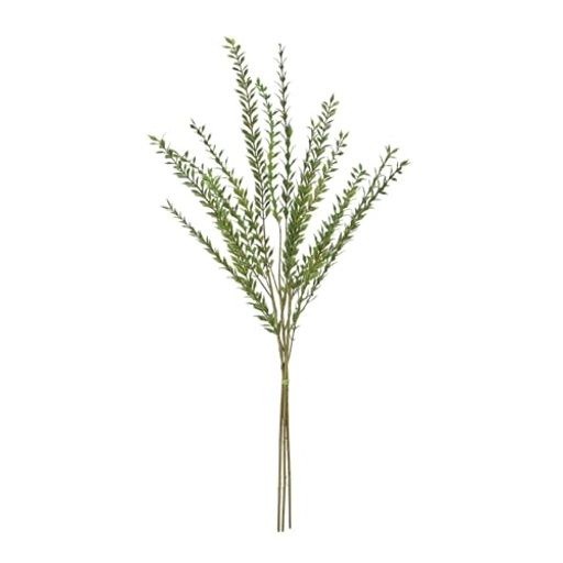 東京堂(Tokyodo)リューカワイルドブランチL70xW30cm1束(3本)FG000364-zzz