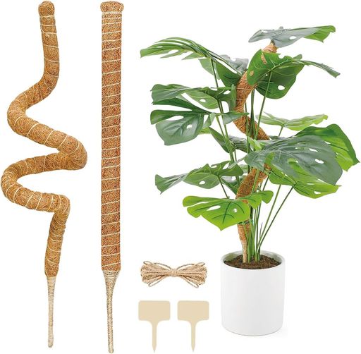 【自分すきな形をDIYで出来る】この植物支柱は普通の支柱と違い、曲げやすい支柱で採用し、支柱をハート、円形などの様々な形に曲げて、植物をより良い形にすることができます。 【商品仕様】2本セット。サイズ:高さ約64cm。素材:この植物支柱は人工繊維で採用するため、水分を吸収し、植物の湿潤と栄養を維持することができます、環境にとても優しいです。 【誘引支柱】 観葉植物を支え、まっすぐに健康的に成長させ、悪天候でも植物の茎が曲がったり絡まったりしないように保護することが出来ます。 【様々なシーンに適用】 花、植物、フルーツ、野菜などに使用できる園芸支柱です。アジサイ、シャクヤク、サルビア、コーンフラワーなどのふさふさの植物や鉢植えの植物を支えてよりよい姿へ成長されます。トマト、カボチャ、キュウリ、メロンなどのつる植物や若木などにも適しています。
