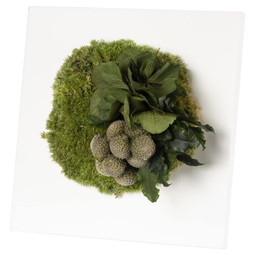 ガーデンパレットモノ白フレームインテリアグリーンプリザーブドフラワー卓上壁掛け贈り物プレゼントお..