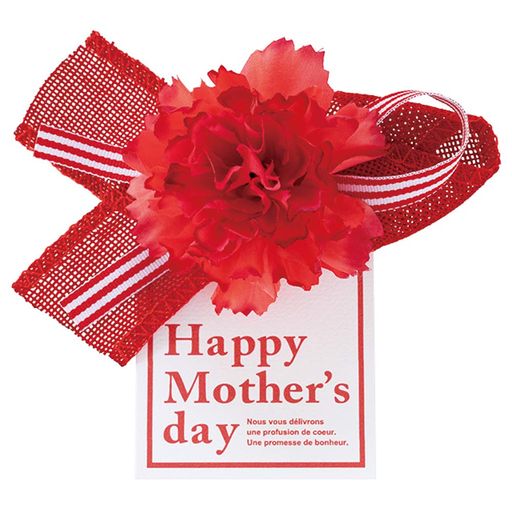 母の日フルリールクリップ付-1(10個)