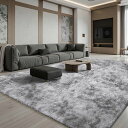 ラグマットカーペット120x160cm全厚約5cm滑り止め付洗えるラグ抗菌ふわっと手触り防音絨毯オールシーズおしゃれな北欧風シャギーラグ極厚ウレタンフォーム10...