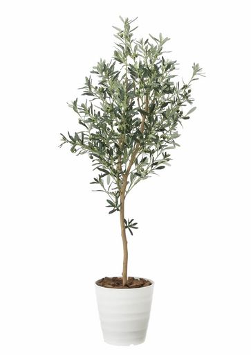 光の楽園フェイクグリーン造花オリーブツリー1.6m2022P335